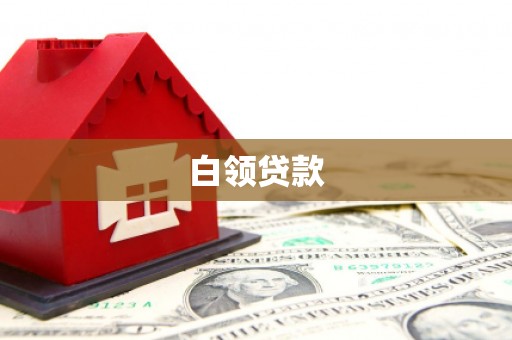 武功白领贷款