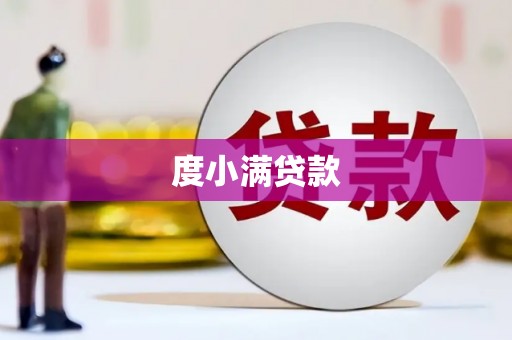 武功度小满贷款