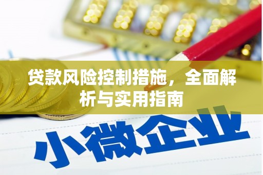 武功贷款风险控制措施，全面解析与实用指南