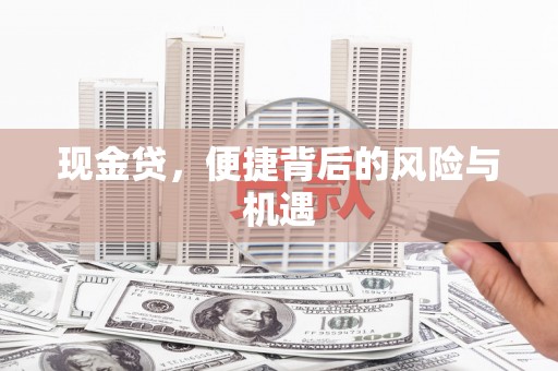 武功现金贷，便捷背后的风险与机遇