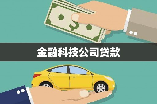 武功金融科技公司贷款