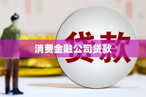 武功消费金融公司贷款