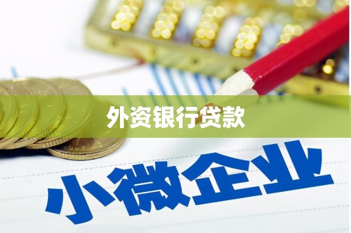 武功外资银行贷款