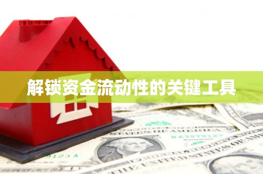 武功解锁资金流动性的关键工具