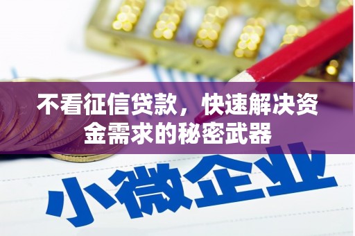 武功不看征信贷款，快速解决资金需求的秘密武器
