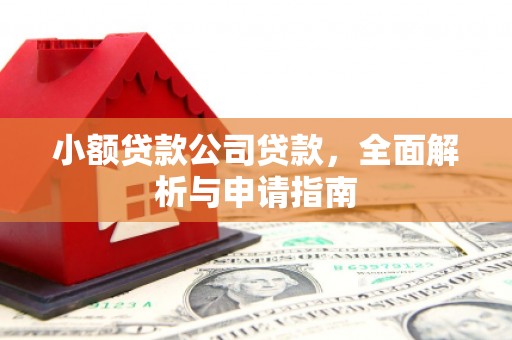 武功小额贷款公司贷款，全面解析与申请指南