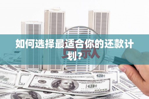 武功如何选择最适合你的还款计划？