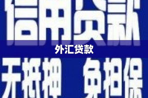 武功外汇贷款