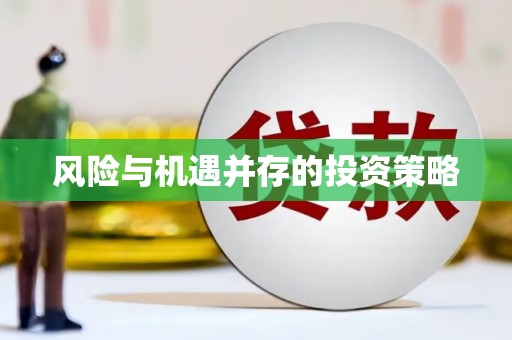 武功风险与机遇并存的投资策略