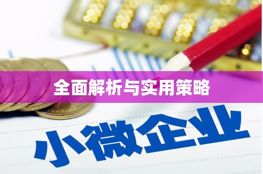 武功全面解析与实用策略