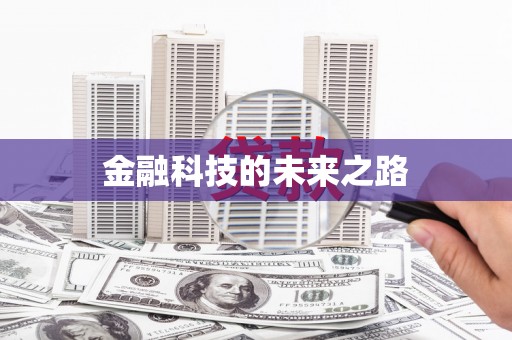 武功金融科技的未来之路