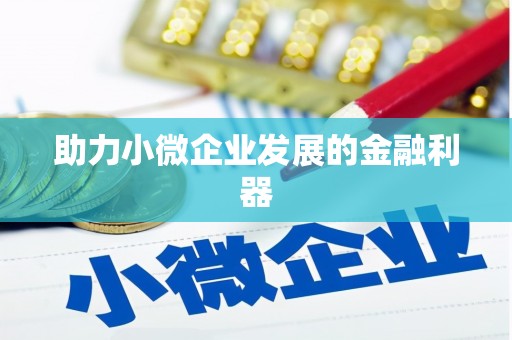 武功助力小微企业发展的金融利器