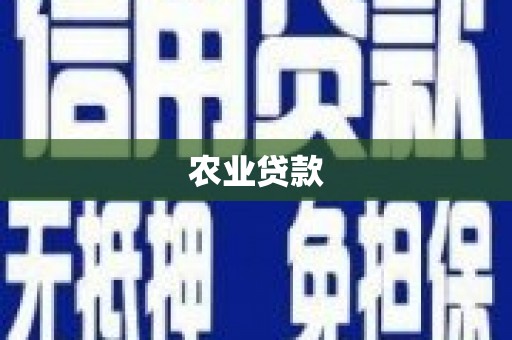 武功农业贷款