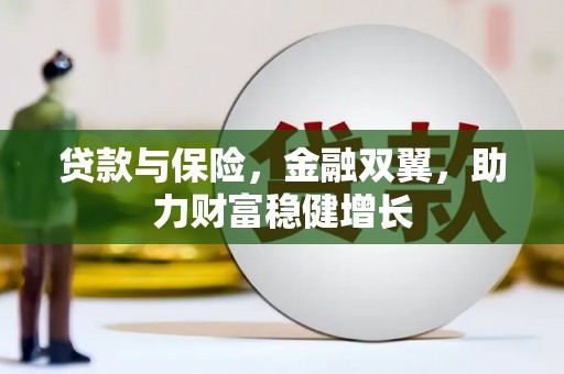 武功贷款与保险，金融双翼，助力财富稳健增长