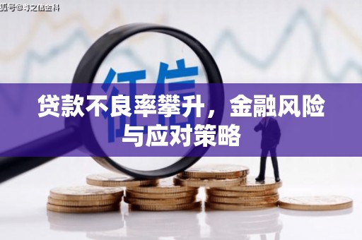 武功贷款不良率攀升，金融风险与应对策略