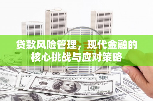 武功贷款风险管理，现代金融的核心挑战与应对策略