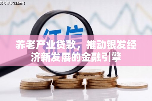 武功养老产业贷款，推动银发经济新发展的金融引擎