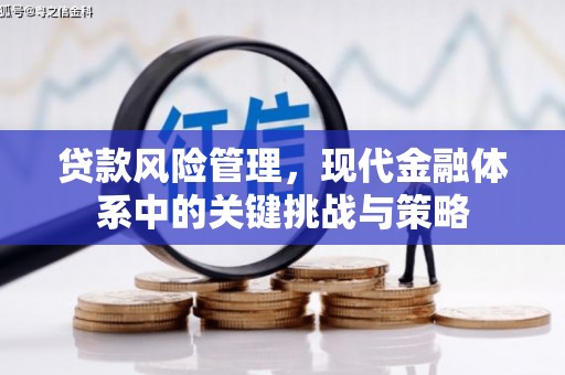 武功贷款风险管理，现代金融体系中的关键挑战与策略