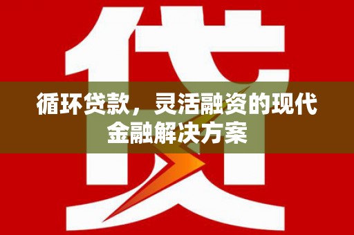 武功循环贷款，灵活融资的现代金融解决方案
