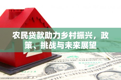武功农民贷款助力乡村振兴，政策、挑战与未来展望