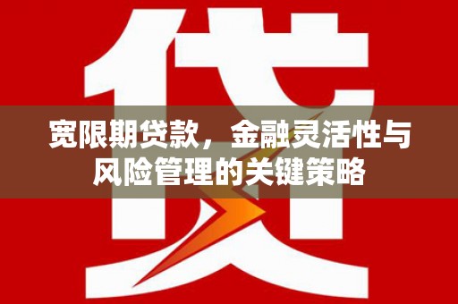 武功宽限期贷款，金融灵活性与风险管理的关键策略