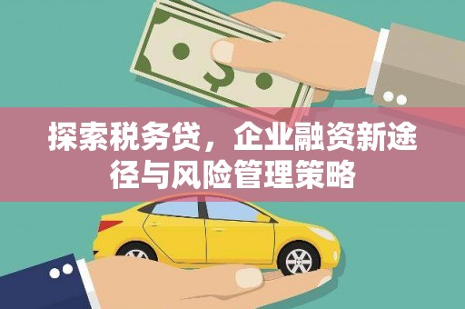武功探索税务贷，企业融资新途径与风险管理策略