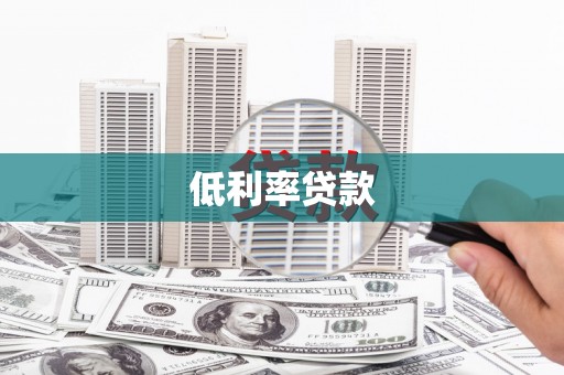 武功低利率贷款