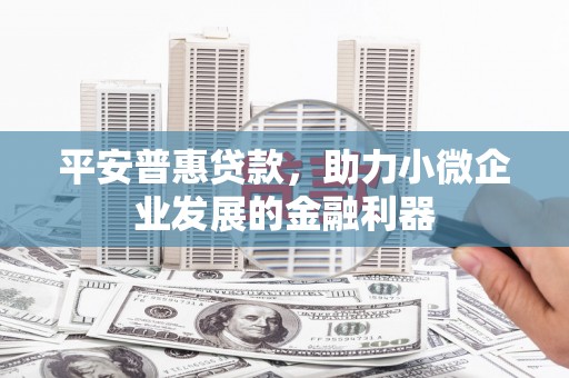 武功平安普惠贷款，助力小微企业发展的金融利器
