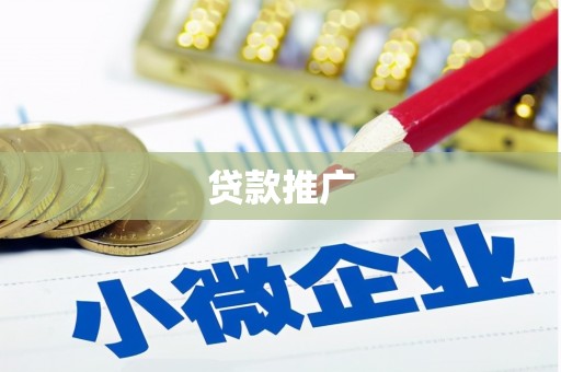 武功贷款推广