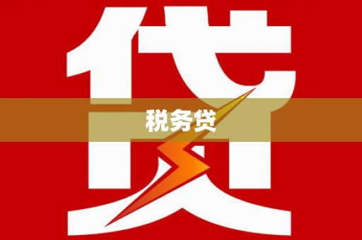 武功税务贷