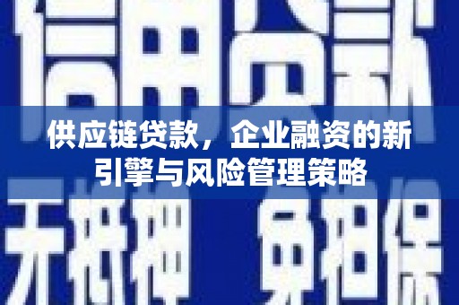 武功供应链贷款，企业融资的新引擎与风险管理策略