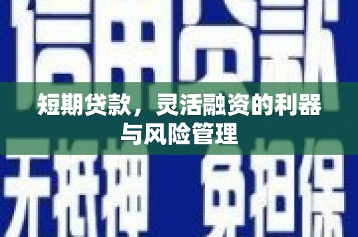 武功短期贷款，灵活融资的利器与风险管理