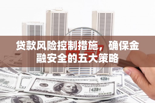 武功贷款风险控制措施，确保金融安全的五大策略