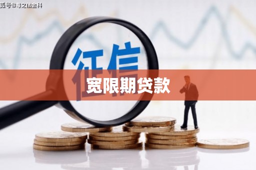 武功宽限期贷款