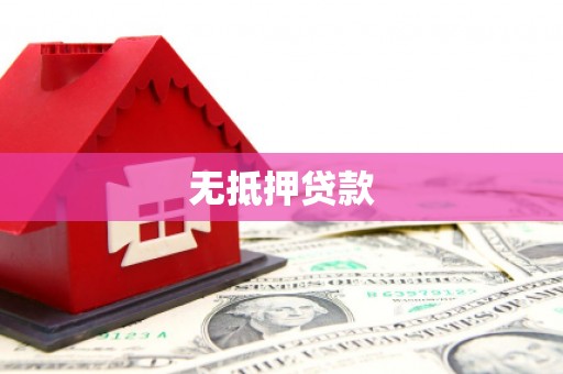 武功无抵押贷款
