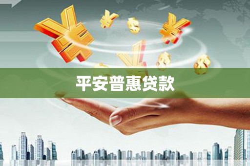 武功平安普惠贷款