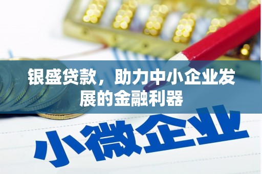 武功银盛贷款，助力中小企业发展的金融利器