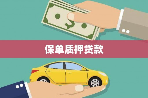 武功保单质押贷款