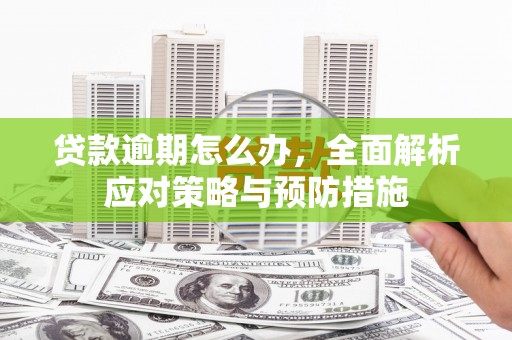 武功贷款逾期怎么办，全面解析应对策略与预防措施