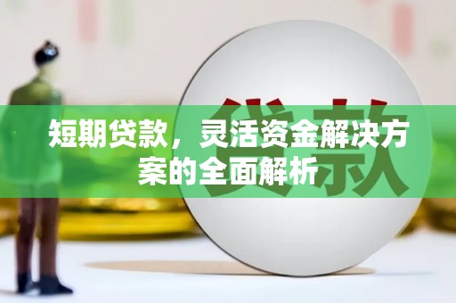 武功短期贷款，灵活资金解决方案的全面解析