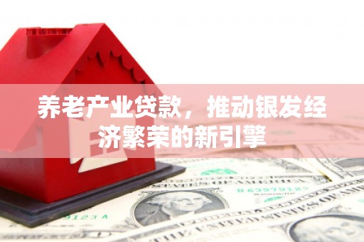 武功养老产业贷款，推动银发经济繁荣的新引擎