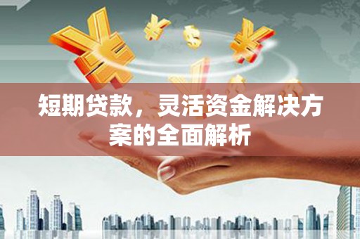 武功短期贷款，灵活资金解决方案的全面解析