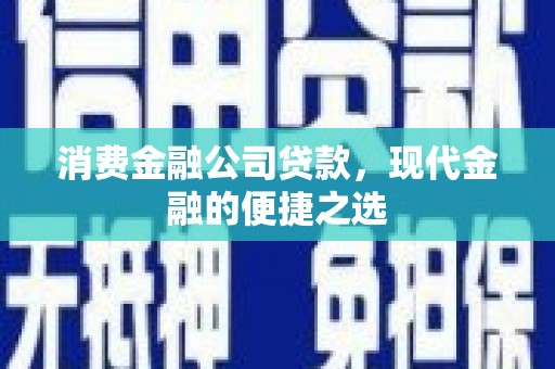 武功消费金融公司贷款，现代金融的便捷之选