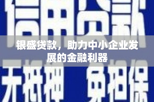 武功银盛贷款，助力中小企业发展的金融利器