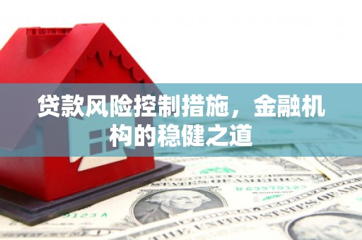 武功贷款风险控制措施，金融机构的稳健之道