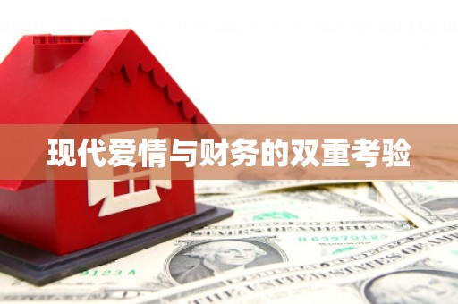武功现代爱情与财务的双重考验