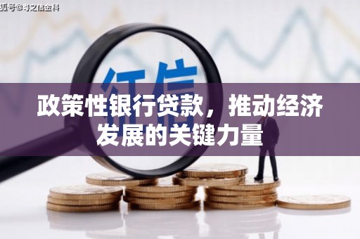 武功政策性银行贷款，推动经济发展的关键力量