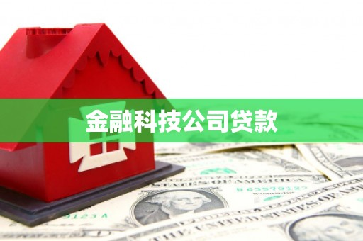 武功金融科技公司贷款