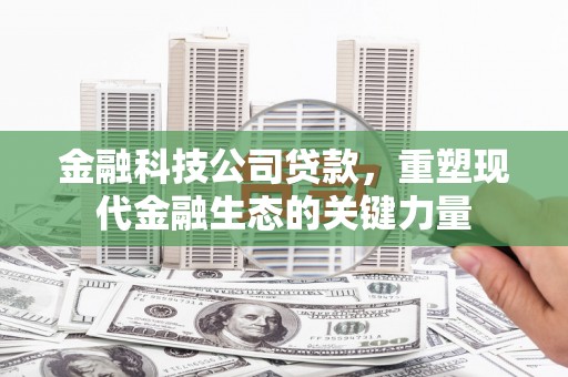 武功金融科技公司贷款，重塑现代金融生态的关键力量