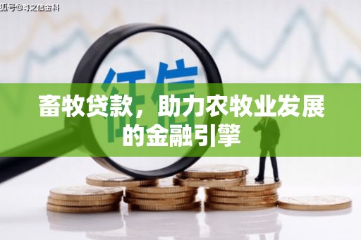 武功畜牧贷款，助力农牧业发展的金融引擎